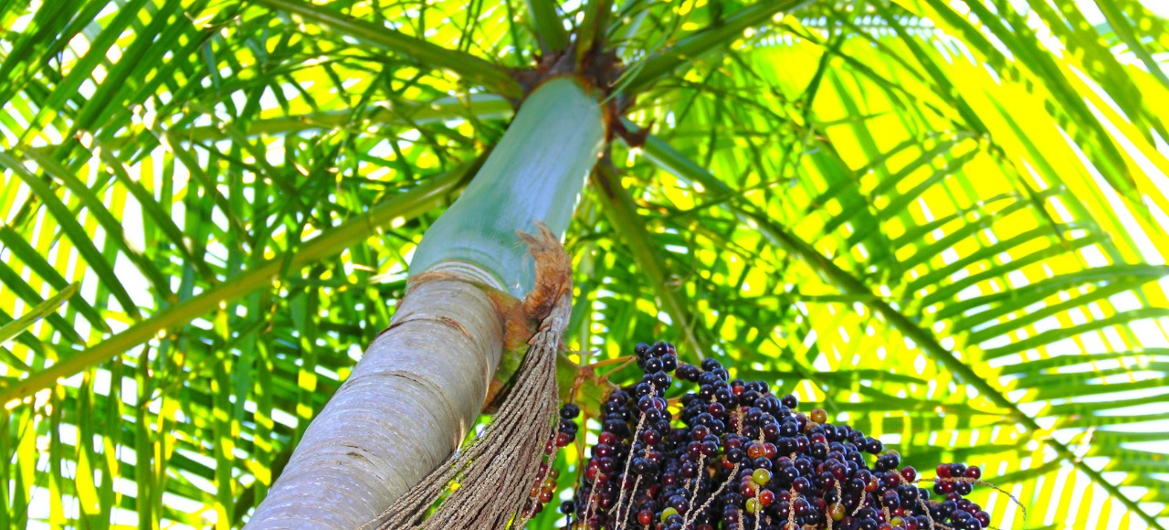 banner-quem-somos (1)